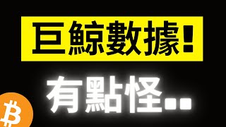 比特幣持續下跌8000美金! 大鯨魚砸盤後開始買入了嗎..? 持倉量異常暴增有點怪，要小心! [字幕]