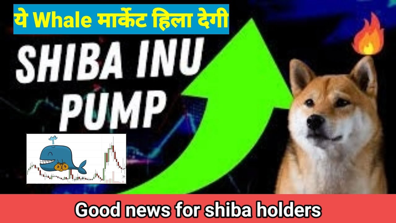 Crypto Whale Buys 20 Trillion Shiba Inu Tokens || shiba inu news today
