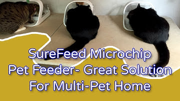 SureFeed Microchip Pet Feeder Review - Great Solution For Multi-Pet Home