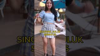 Download Lagu Lagu sasak terbaru 2024 MP3 Download Lagu Lagu sasak terbaru 2024 MP3
