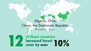 State of the World’s Forests 2016 (SOFO2016)