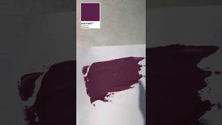 Plum colour #acrylicpainting #art #arttutorial #soothing #colourmixing #acrylic #painting #artist