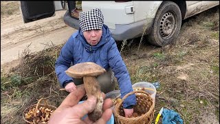 видео: Вот это урожай,от такого поиска просто забываешь обо всем! Грибов 🍄🟫 хоть коси,а в конце просто шок картинка: Вот это урожай,от такого поиска просто забываешь обо всем! Грибов 🍄🟫 хоть коси,а в конце просто шок