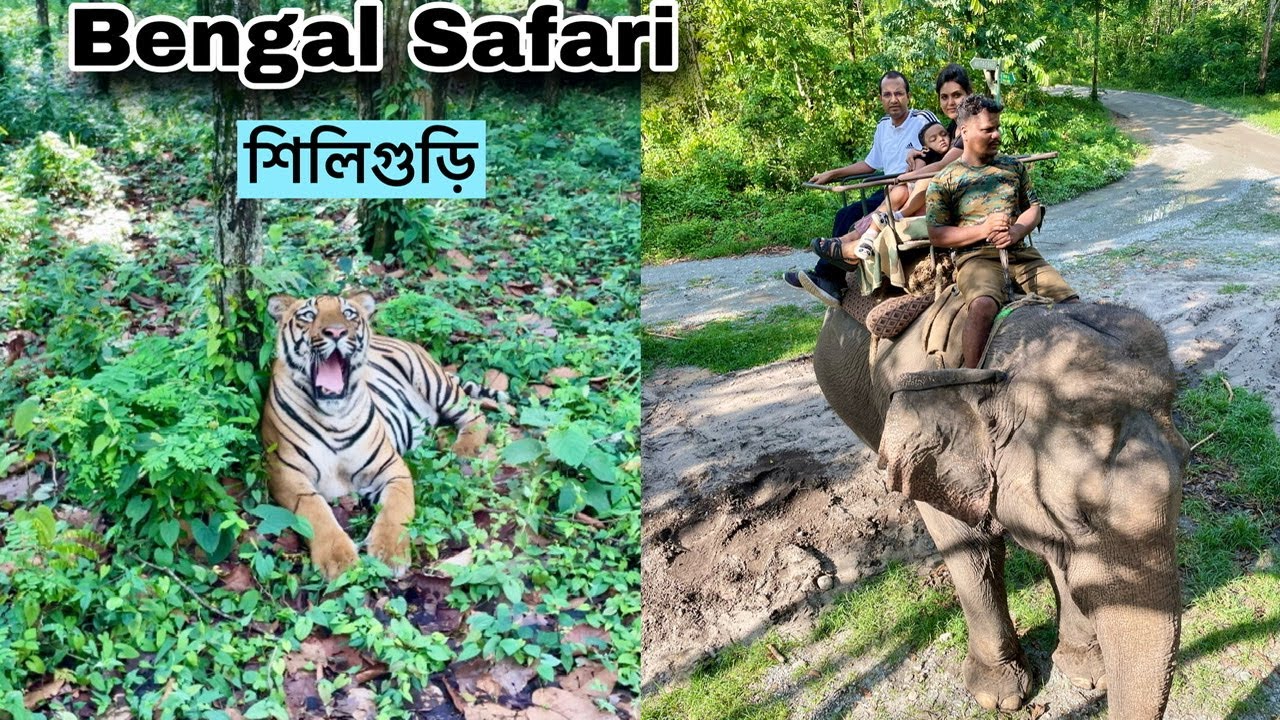 Bengal Safari Siliguri Bengal Safari Park & Zoo Ticket Price