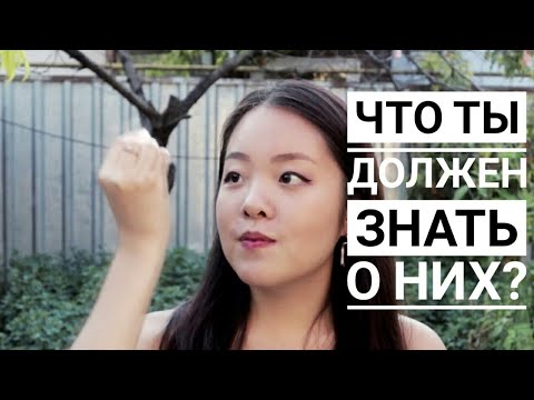 РЕКТОР I ДЕКАН I ПРЕПОДАВАТЕЛИ КТО ЭТО?