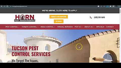 Effektive Schädlingsbekämpfung in Tucson - Horn Pest Management