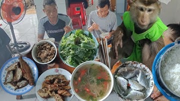 Cá mớm nấu canh ngọt bữa cơm trưa với anh nhà quê vlog 