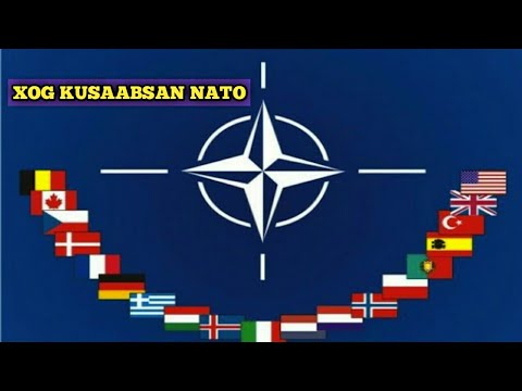 MAXAA KA TAQAANAA XULUFADA GAASHAAN BUURTA NATO