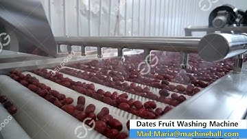 Dates Fruit Washing Processing Machine Video