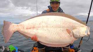 THE STREAK IS ALIVE  Monster California Halibut