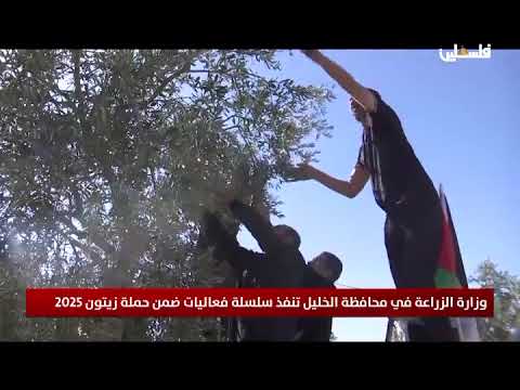وزارة الزراعة في محافظة الخليل تنفذ سلسلة فعاليات ضمن حملة زيتون 2025