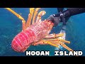 Spearfishing trip - Hogan island