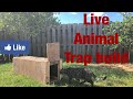 Live Animal Trap Build