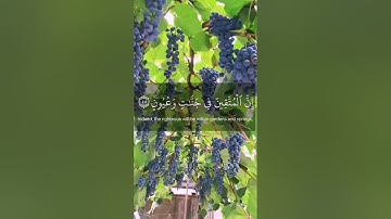 { ان المتقين في جنات وعيون } الآية 45 من سورة الحجر  القارئ هزاع البلوشي