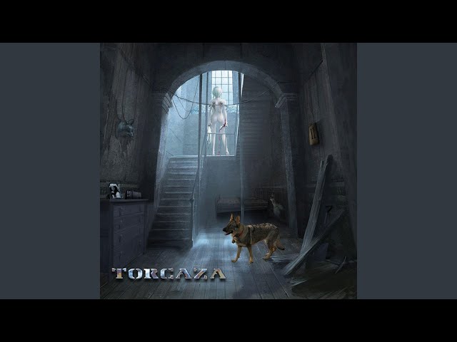 Egoista Torcaza Shazam