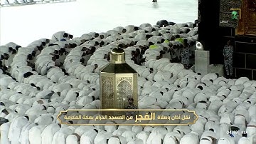 سورة العنكبوت 14-27 - صلاة الفجر 2 ذي القعدة 1446 - للشيخ الوليد الشمسان