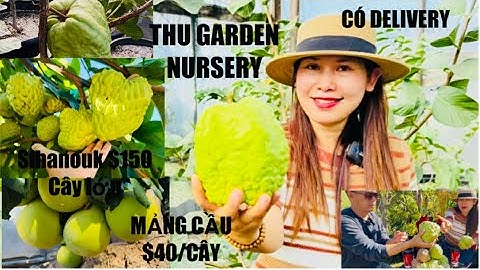 Chị Thu Sale Nhiều Cây Ăn Trái Từ Nay Cho Đến Dịp Lễ Nhiều Cây Giá OK Lắm tt1081