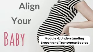 Module 4: How to Turn a Breech Baby