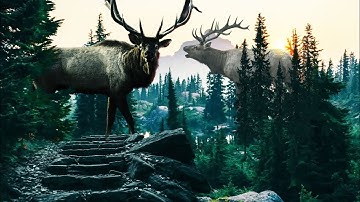 Transform Photos into a Giant Wild Fantasy | Photoshop Editing Tutorial