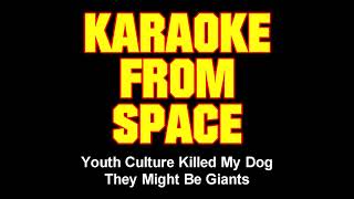 They Might Be Giants • Youth Culture Killed My Dog • [Karaoke] [Instrumental Lyrics]