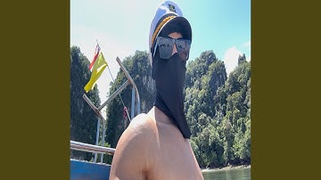 Purposeful Practical Pragmatic Parasympathetic Passive Parable Particle