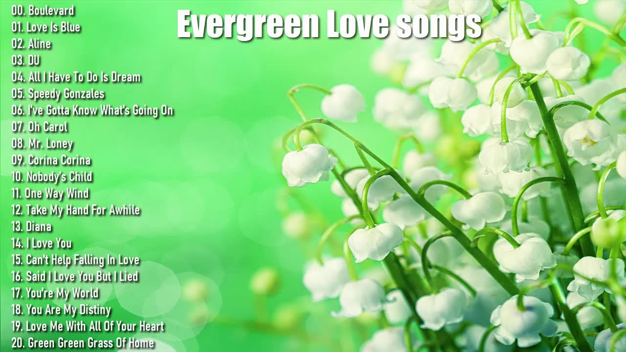Evergreen Love songs Full Album Vol. 97 , Various Artists