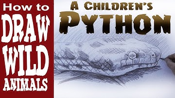 How to Draw a Snake (intermediate) Children