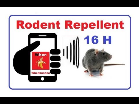 Anti Rat Repellent Sounds::Appstore for Android