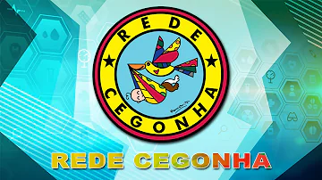 Porque foi criada a Rede Cegonha?
