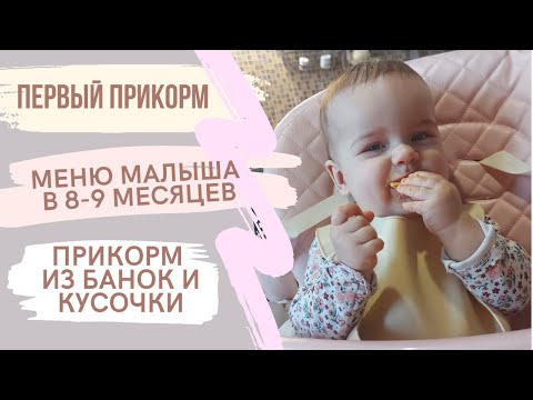 первый прикорм | меню малыша в 8-9 месяцев | переходим на кусочки | самоприкорм