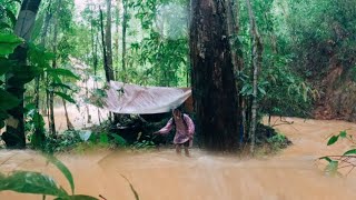 เข้าป่าดงดิบ นอนป่าพื้นที่ต่างแดน ป่าใหม่ เส้นทางโหด โดนฝนถล่มหนัก ep179 Heavy rain