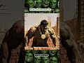 Father’s Sacrifice 💪 Hulk ne din-raat mehnat ki apne bete ke liye