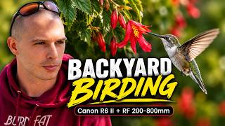 Back Yard Birding