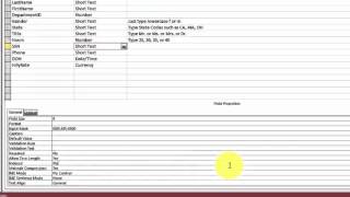 Famous The Field Settings of an Access Table Net Worth