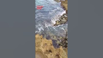 آيات من القرآن الكريم- آية الكرسي #سورة البقرة #عبدالرحمن_السديس