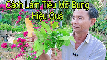Bài Thuốc Tan Mỡ Bụng Và Giảm Cân Rất Hay Không Tốn Kém