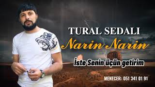Tural Sedali - Narin Narin 2021 (Solo) Resimi