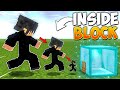 Minecraft but i can go inside any block