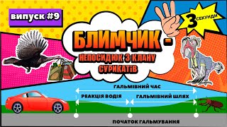 Блимчик. Випуск 9 - 🦃 Індик - Блимчик Непосидюк з клану сурикатів | Казка українською мовою