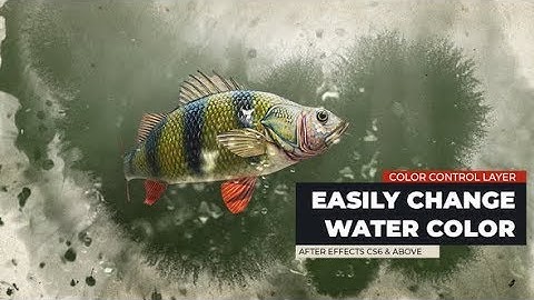 After Effects Template: Fish Logo Reveal