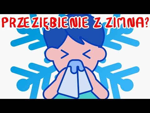 Czy od ZIMNA SIĘ CHORUJE? | WIELKIE PYTANIA