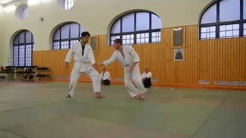 MM - Aikidō - 4. Kyū Prüfung