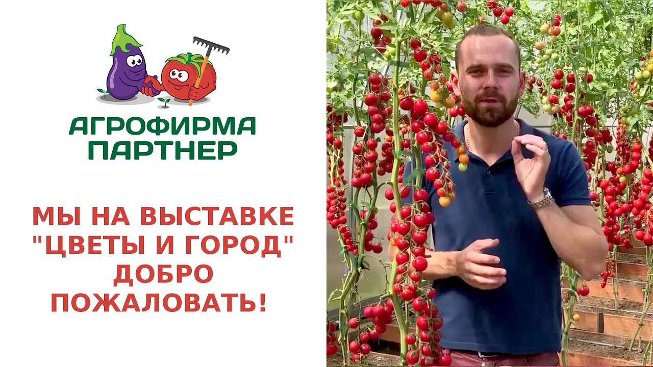 МЫ НА ВЫСТАВКЕ &quot;ЦВЕТЫ И ГОРОД&quot;. ДОБРО ПОЖАЛОВАТЬ!