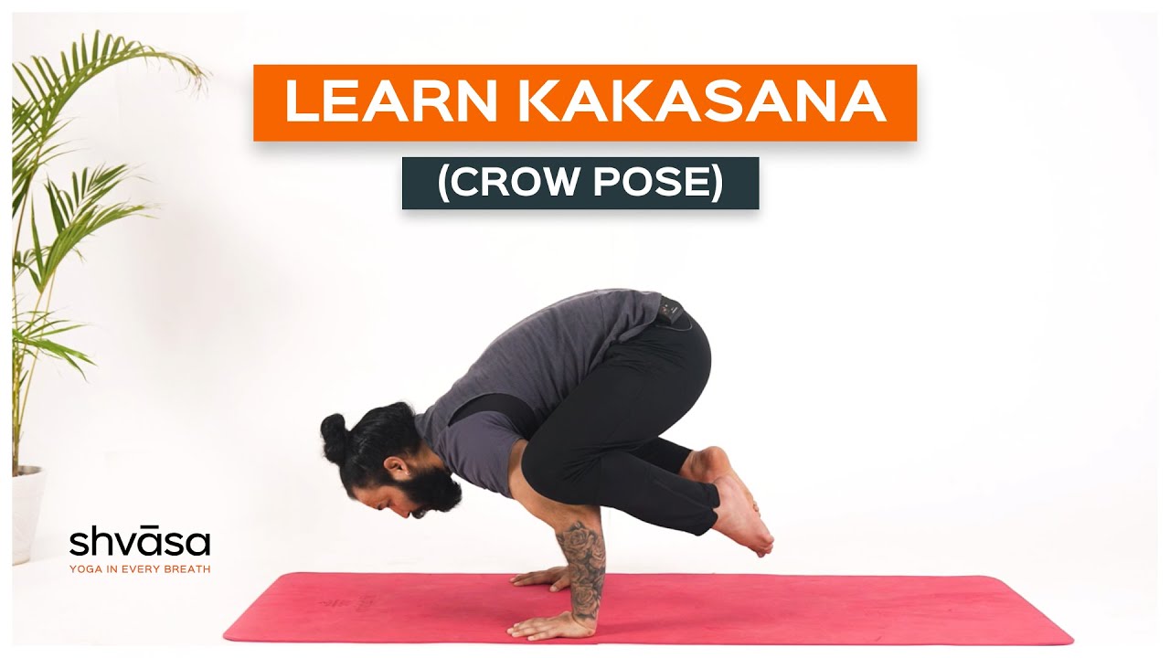 The Science Behind the Benefits of Crow Pose (Bakasana)