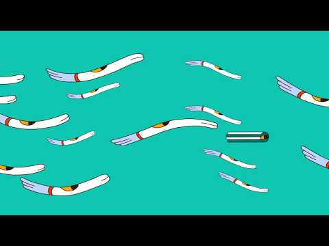 ACUA - Lone Love (Official Video)