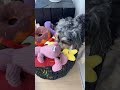 We Need a Sunday Reset Routine