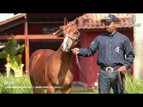 27   RCH DON STEEL BARS