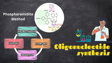 Chemical synthesis of oligonucleotides|Phosphoramidite Method|
