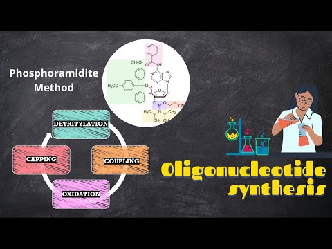 Video: Differenza Tra Oligonucleotide E Polinucleotide