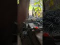 #blacksmith #satisfying #shorts #viralvideo